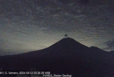 Awas Gunung Semeru Kembali Erupsi, Semburkan Letusan Capai 700 Meter