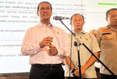 Beras SPHP Dioplos Menjadi Premium, Mentan Amran Minta Hentikan Sebelum Ditindak