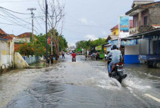  Waspada Cuaca Ekstrem di Babel: Hujan Lebat dan Angin Kencang Mengancam