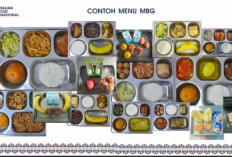 BGN Perluas Penerima Manfaat MBG, Sasar Usia 6–59 Bulan