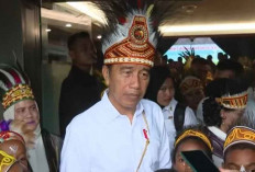 Jokowi Dukung Pembangunan Lumbung Pangan di Merauke untuk Hadapi Krisis Pangan
