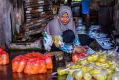 Afirmasi Kebijakan Penghapusan Pajak Usaha Kecil bagi UMKM