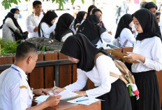 Benarkah Pendaftaran CPNS 2026 Sudah Dibuka? BKN Beri Penjelasan Resmi