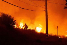 Kebakaran Hutan Jadi Penyumbang Besar Polusi Udara Global, WMO Ingatkan Risiko Serius