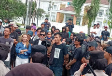 Aliansi Penambang Babel Geruduk Kantor Gubernur, Sampaikan 2 Tuntutan Utama