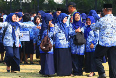 Kabar Baik Honorer Mulai 2026, Sayangnya Tak Berlaku untuk Semua