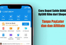 Mau Saldo DANA Rp500 Ribu Gratis? Ikuti Cara Ini dari Shopee Tanpa PayLater dan Affiliate