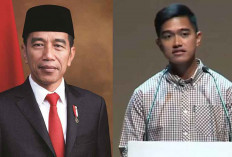 Soal Modus Lonjakan Suara PSI, Begini Tanggapan Presiden Jokowi