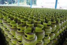 Pertamina Terapkan Pengawasan Digital LPG 3 Kg di Belitung, Stok Aman & Tepat Sasaran