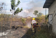 BPBD Beltim Ingatkan Warga, Puluhan Hektare Lahan Terdampak Karhutla Januari 2026