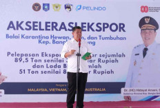 Ekspor Produk Unggulan Babel Senilai Rp11,3 Miliar Tembus Pasar 4 Negara