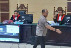 Sidang Korupsi 'Tanam Pisang Tumbuh Sawit', Kesaksian Erzaldi Bongkar Peran Mantan Wagub Babel