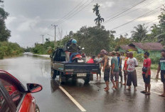 Banjir Rendam Puluhan Rumah di Cerucuk, Meluap Hingga ke Jalan Utama