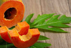 5 Manfaat Mengonsumsi Sepiring Pepaya untuk Kesehatan