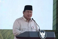 Produksi Beras Melimpah, Prabowo Izinkan Ekspor Atas Dasar Kemanusiaan