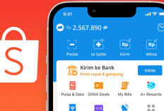 Cara Cepat Pinjam Saldo DANA di Shopee Tanpa KTP, Auto Langsung Cair!