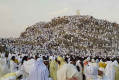 Visa Haji Furoda Batal, Travel Alami Kerugian hingga Rp81 Juta per Jemaah