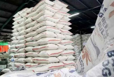 Naik 18 Persen, Anggaran Ketahanan Pangan 2026 Jadi Rp164,4 Triliun