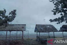 El Nino Picu Cuaca Ekstrem di Babel, BPBD Ingatkan Bahaya Angin Kencang