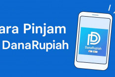 Panduan Lengkap: Cara Ajukan Pinjaman Online di DanaRupiah