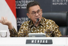 Mendag Cari Solusi Adil untuk Penjual dan Marketplace, Revisi Permendag Disiapkan