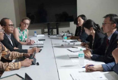 Indonesia dan Korsel Jajaki Kerja Sama Restorasi Mangrove dan Pengembangan Blue Carbon