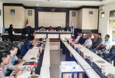 Sengkarut Data Sawit, Pansus DPRD Babel Desak Sinkronisasi Plasma dan CSR di Basel