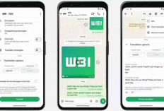 WhatsApp Luncurkan Fitur Terjemahan Pesan Bahasa Asing untuk Pengguna Android
