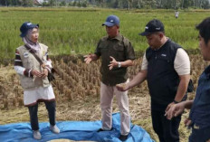 Bulog Diminta Dukung Kebijakan HPP Gabah yang Ditetapkan Presiden