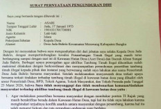 Dilema Tambang Timah Ilegal, Kades di Bangka Pilih Mundur