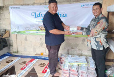 Idul Adha 2025, PTP Cabang Tanjungpandan Berbagi Hewan Qurban 