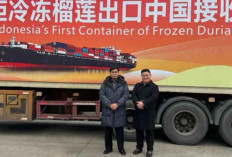 Indonesia Ekspor Perdana 23 Ton Durian Beku ke Tiongkok Senilai Rp2,08 Miliar