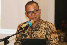  PAD Belitung 2025 Tembus Rp213,48 Miliar, Rekor Baru Sepanjang Sejarah