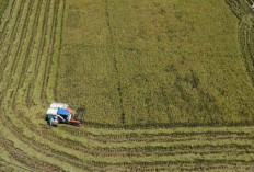 Teknologi Geospasial untuk Manajemen Sumber Daya Lahan