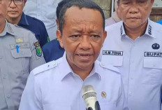 Pemerintah Siapkan 18 Proyek Hilirisasi Senilai Rp 300 Triliun, Fokus Kendaraan Listrik