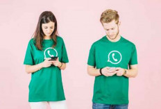 WhatsApp Akan Tampilkan Iklan di Fitur Status, Begini Penjelasan Resminya