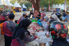 Bazar Ikan Murah di Belitung Expo 2026 Diserbu Warga