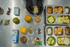 BGN Pastikan MBG untuk Balita dan Ibu Hamil Tetap Jalan Saat Libur Lebaran