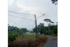 Puluhan Lampu PJU Terpasang di Dusun Air Pelempang Timur, Warga: Terima Kasih Dishub Belitung