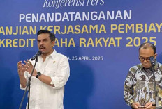 Menteri UMKM Usulkan Pembentukan Tim Pendamping UMKM untuk Tekan Kredit Bermasalah