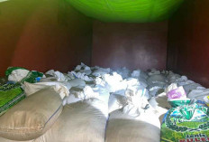 Penyelundupan 50 Ton Timah Rp10 Miliar dari Belitung ke Bangka Terbongkar, Disamarkan Jadi Sagu