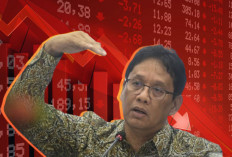 FDI Purbaya