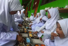 Apindo Desak Pemerintah Susun Regulasi untuk Program Makan Bergizi Gratis