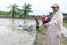 Sektor Pertanian dan Ketahanan Pangan Jadi Program Prioritas di Pemerintahan Prabowo pada 2025