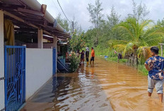 53 Rumah dan Sekolah Beltim Terdampak Banjir Rob, BPBD Ingatkan Warga Pesisir Waspada