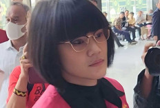 Bela Harvey Moeis, Buzzer di Kasus Tipikor Timah Dibayar Rp 597 Juta