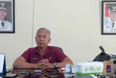 Temuan Kemensos! 5 Penerima PKH di Bangka Belitung Pakai Bansos buat Judi Online