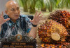 Harga TBS Sawit Belum Stabil, Ketua DPRD Babel: Patuhi Kesepakatan atau Ditindak