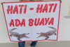 Buaya Kembali Teror Nelayan, Pemdes Tanjung Rusa Pasang Spanduk Himbauan 
