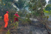 Kebakaran Lahan di Desa Terong Hanguskan 1 Hektare,BPBD Belitung Turun Tangan